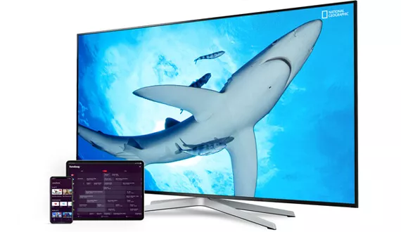 youfone tv